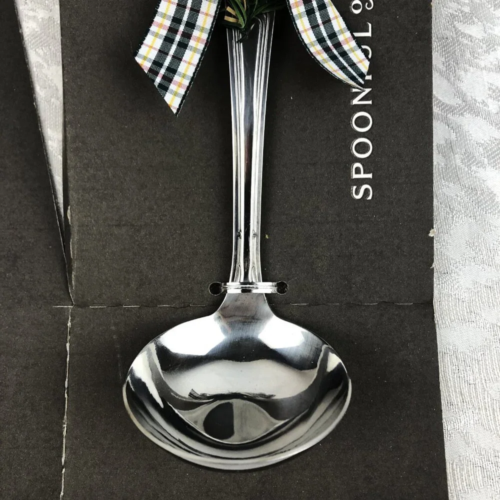 Spoonful of Comfort Stainless Steel 9-Inch Serving Ladle w/ Plaid Ribbon Bow NWT